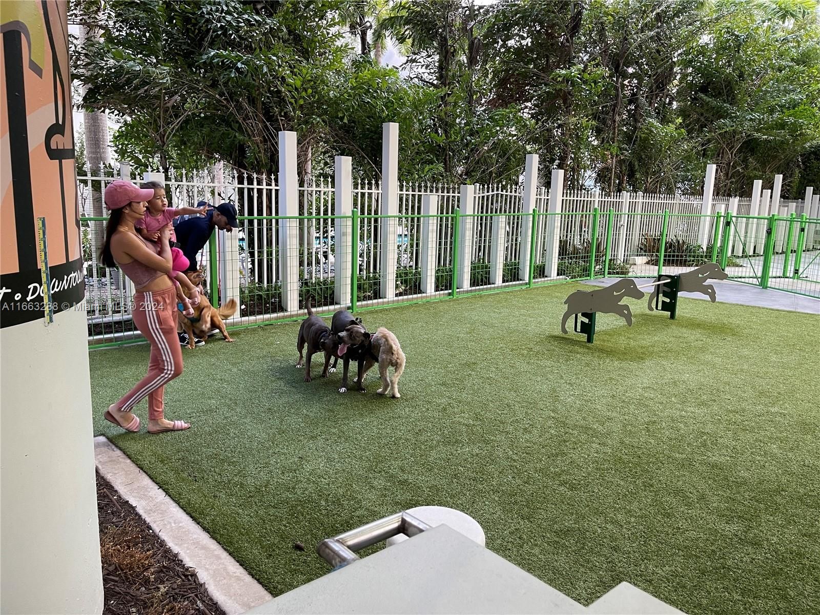 Dog park under the 1st St MetroMover platform